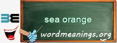 WordMeaning blackboard for sea orange